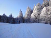 Skitour auf den Gulmen