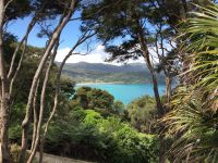 Great Barrier Island::