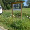Rennrad BAy. Wald