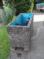 Brunnen -Blumentrog