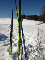 Langlauf in Scheidegg
