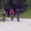 Radfahren Bay. Wald