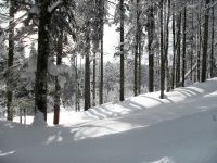 Langlauf Schauinsland