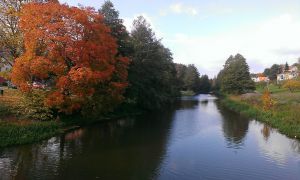 Herbst in Schweden